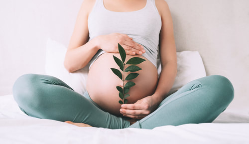 Acupuncture for a Healthy Pregnancy: Natural Support for Expectant Mothers